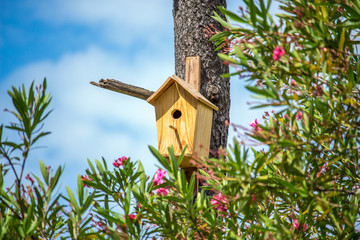 Birdhouse on a tree