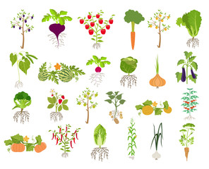 Fruits and vegetables. Nutrition. Icon set