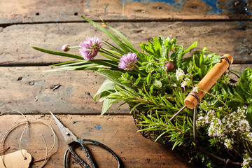 Various herbs with scissors and tag on table
