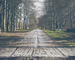 Old Road in a Forest with Vintage Filter