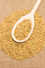 the seeds of green lentils on a canvas