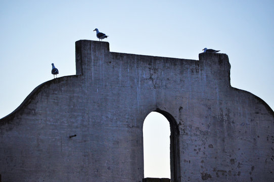 California: gabbiani sull'Isola di Alcatraz il 13 giugno 2010. L'isola ha ospitato la prigione federale fino al 1963 e ora fa parte dell'area del Golden Gate National Recreation