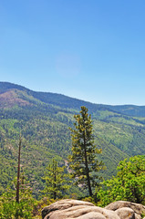Obraz premium California: vista del Parco nazionale dello Yosemite il 16 giugno 2010. Lo Yosemite National Park è noto per le sue scogliere di granito, le cascate, i boschi di sequoia e la diversità biologica