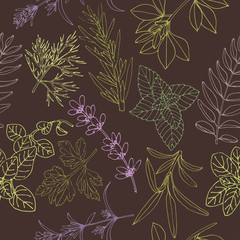 Herbs seamless pattern on a dark background