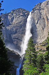 California: la cascata Yosemite nel Parco nazionale dello Yosemite il 16 giugno 2010. Yosemite Falls è la cascata più alta e famosa del parco nazionale