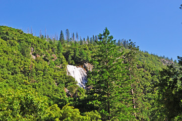 California: vista del Parco nazionale dello Yosemite il 16 giugno 2010. Lo Yosemite National Park è noto per le sue scogliere di granito, le cascate, i boschi di sequoia e la diversità biologica