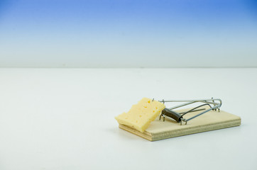 Cheese in mousetrap