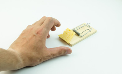 Hand reaching for a piece of cheese in a mousetrap