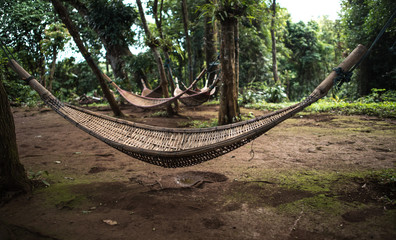 natural weave hammock in forest