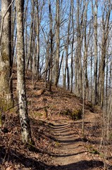 Hiking trail through hardwood forest.  Sunshine streaming through the trees.
