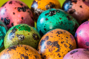 Colorful easter partridge eggs