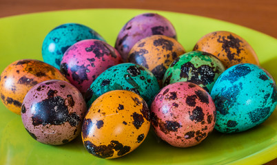 Colorful easter partridge eggs