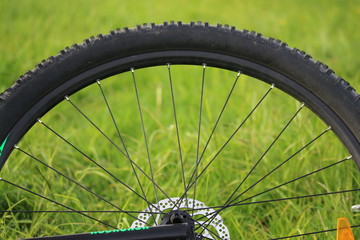 Fototapeta premium Fahrrad in der Wiese 