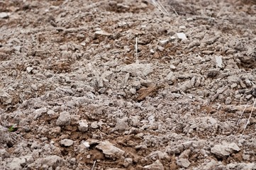 Close up of cultivated soil viewed from near the ground. Agricultural background. Shallow DOF. Selective focus.