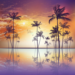 Fototapeta na wymiar Exotic tropical palm trees at sunset or moonlight, with cloudy