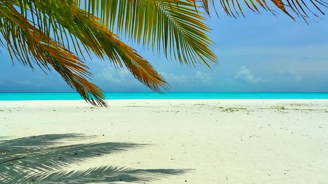 Beautiful tropical beach and sea in maldives island