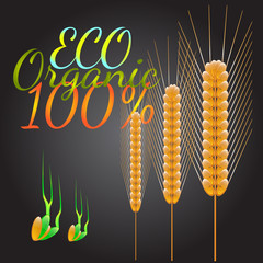 Wheat symbol. Vector illustration.