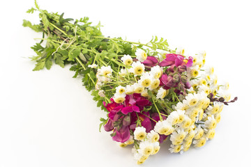 Bouquet of Small Daisies and Snapdragon