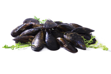 mussels isolated