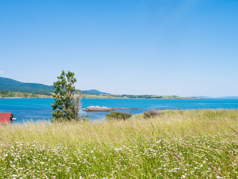 Black Sea seaside in Tsarevo town, Bulgaria