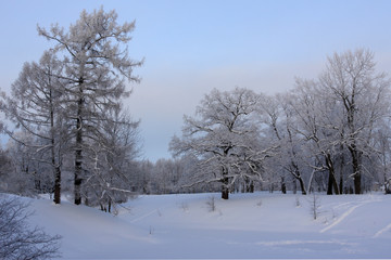 Obraz premium Snow winter