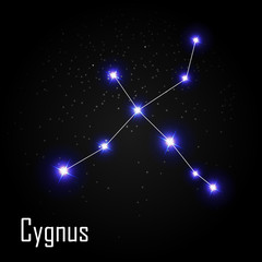 Obraz na płótnie Canvas Cygnus Constellation with Beautiful Bright Stars on the Backgrou