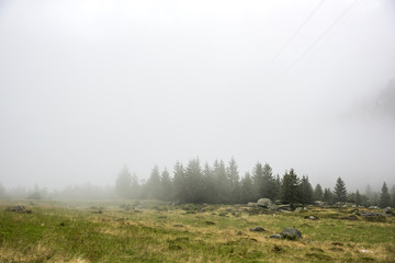 Nebelfront über einem Wald