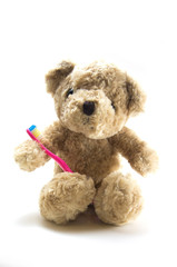 Teddy bear with a toothbrush on white background