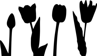 Silhouettes of tulips