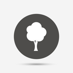 Tree sign icon. Forest symbol.