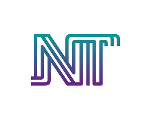 NT lines letter logo