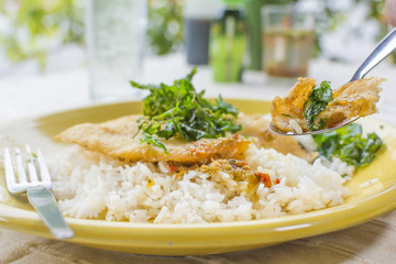 Deep Fried Dolly Fish Steak with sauce Stir basil crispy herb hot and spicy delicious Thai food style