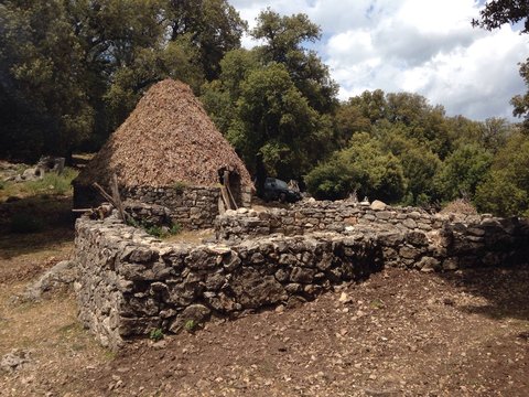 shephed hur in sardinia, italy