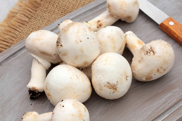 champignons 04062016