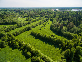 Fototapeta na wymiar Aerial view of Karelia forest 
