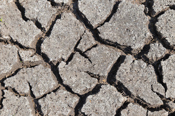 Dry soil with dramatic cracks caused by the lack of water