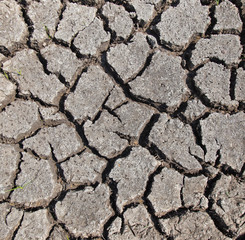 Dry soil with dramatic cracks caused by the lack of water