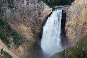 Lower Yellowstone Falls