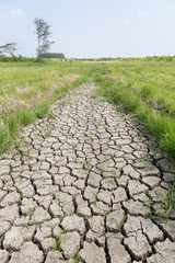 Fototapeta na wymiar Crack soil on dry season, Global worming effect.