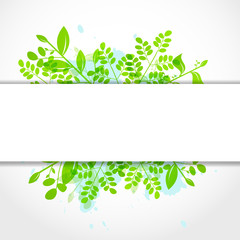 Spring Leaves Background