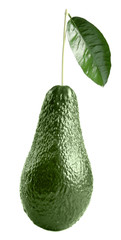 Fresh avocado isolated on white