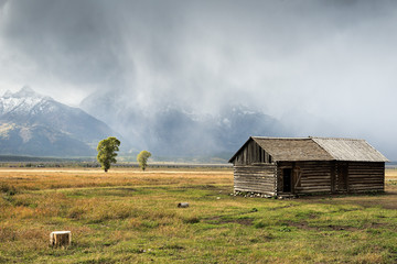 Fototapeta premium Mormon Row