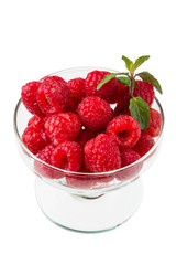 クランベリー　 Cranberry