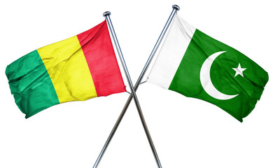 Guinea flag with Pakistan flag, 3D rendering