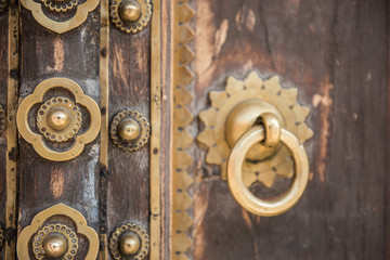 Classic Architecture on Door