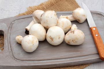 champignons 04062016