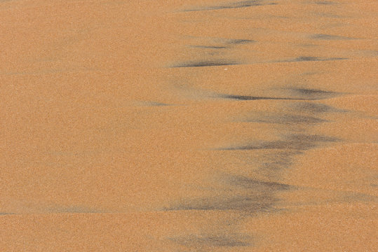 Kovalam Beach View