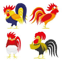 Rooster.