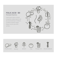 Folic acid nutrition pregnancy