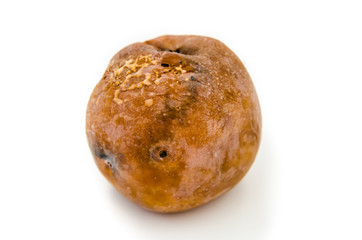 rotten apple